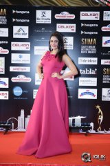 South Indian International Movie Awards 2016 Day 2